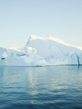 Korbi Grönland 2.jpg