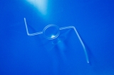 RK Common view.jpg