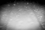 schnee_sonjaherpich-2