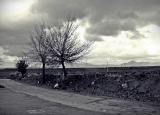 Juan Carlos Carmona - Road to nowhere (Lagares, P) 70 x 50.jpg