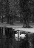 José Rasquinho - Autumn at the Lake 50 x 70.jpg