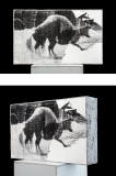 Animal locomotion II_66 x 40 x 13 cm_Beton_Valentina Murabito.jpg